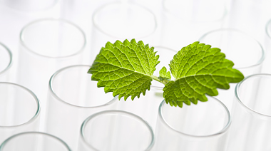 中國食品科學技術學會兒童食品分會 